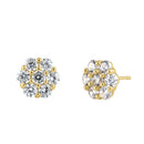 Solid 14K Gold CZ Cluster Stud Earrings