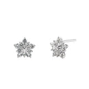 Sterling Silver Flower Star CZ Earrings