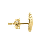 Solid 14K Yellow Gold Clam Earrings