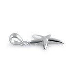 Silver Star Fish