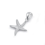Silver Star Fish