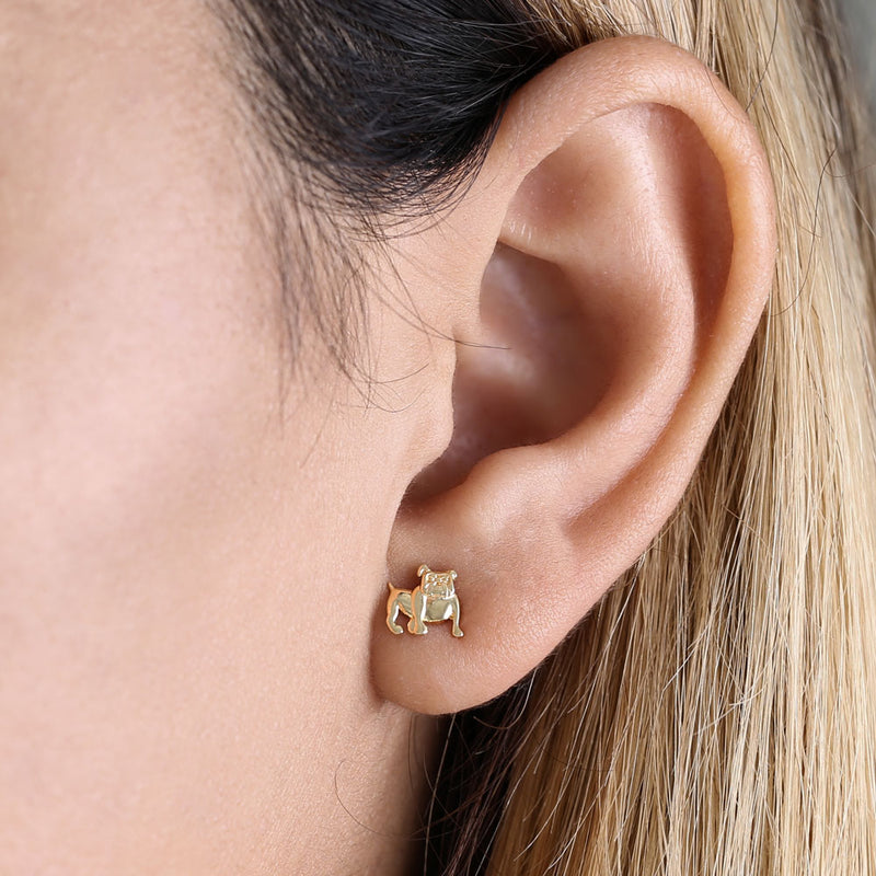 Solid 14K Yellow Gold Bull Dog Earrings