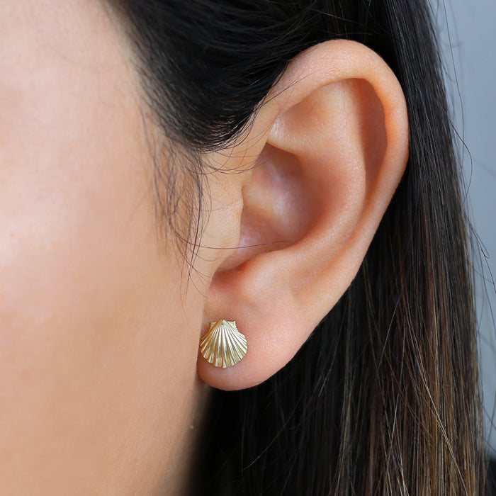 Solid 14K Yellow Gold Clam Earrings