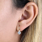Solid 14K Yellow Gold 6mm Round CZ Hook Earrings