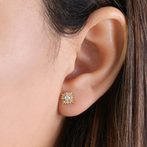 Solid 14K Yellow Gold Round Star CZ Stud Earrings